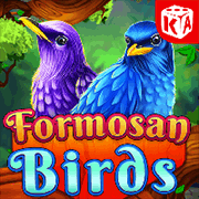 Formosan Birds