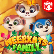 Meerkats Family