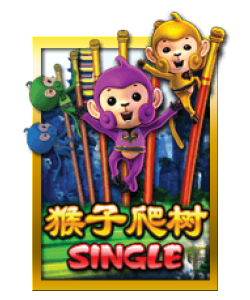Monkey Climb
