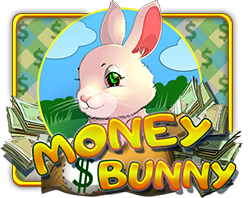 Money Bunny