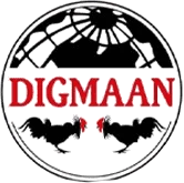 Digmaan